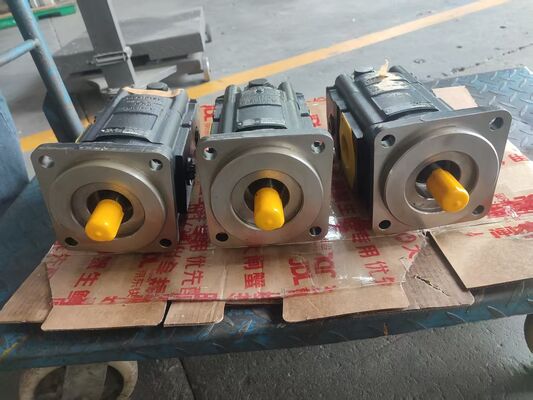 Premium Casappa Gear Pump 799137H0 87362337 Replacement Hydraulic Pump Parts