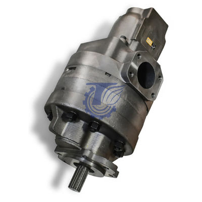 260-3947 Caterpillar D10t için Uygulama Eğitme Hidrolik Ana Pompa Assy Gear Pompa Ekskavatör Parçaları Ardından Piyasa Orijinal